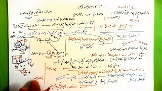 208 ★  المذكور في الاستعارة image