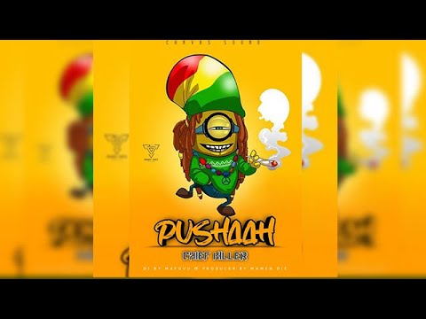 Chief Killer - Pusha No.1 (Singeli Music) IKMZIKI.COM