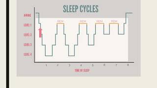 Stages of sleep