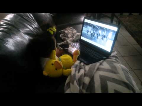 Hailey listening to Exo "Call Me Baby"