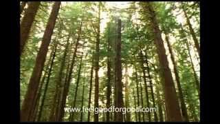 How to Manage Depression | Melancholic Depression Symptoms