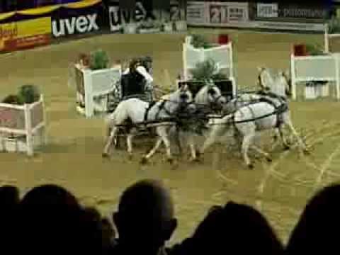 F.E.I. World Cup Driving der Vierspänner Hannover 2013, Ysbrand Chardon