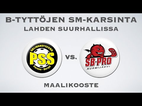 Maalikooste PSS vs. SB-Pro