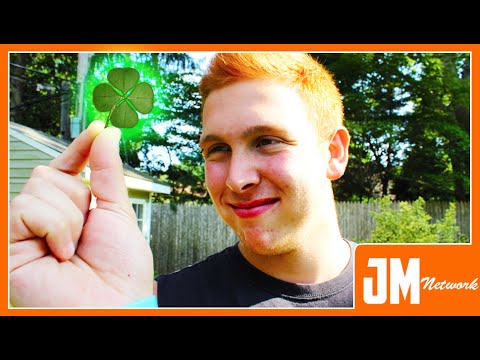 download lagu mp3 mp4 Real Four Leaf Clover Gifts, download lagu Real Four Leaf Clover Gifts gratis, unduh video klip Real Four Leaf Clover Gifts