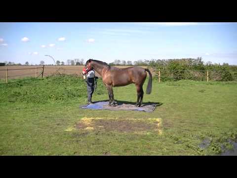 April OHLA  Hero (rio) 006.mp4