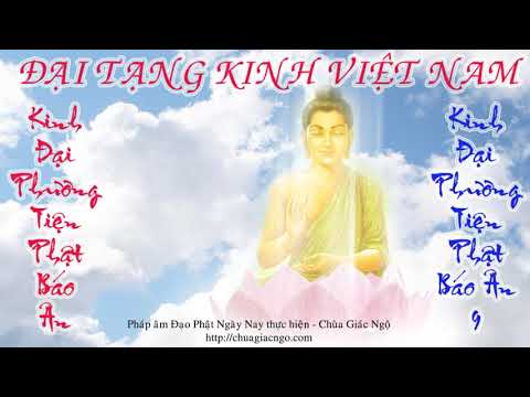 Kinh Đại Thừa - Kinh Đại Phương Tiện Phật Báo Ân 9