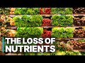 Industry Scandal The Loss Of Nutrients Corrupt Food Industry
