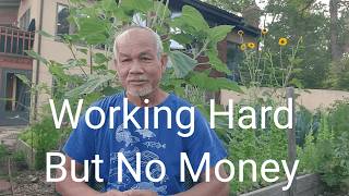 Working Hard But No Money