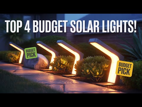 Amazon Solar Yard Lights