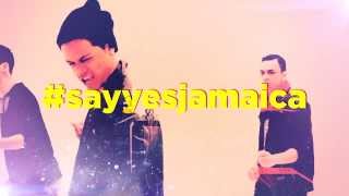 B5 SAY YES REMIX   SAY YES ft BLING DAWG X LISA HYPE