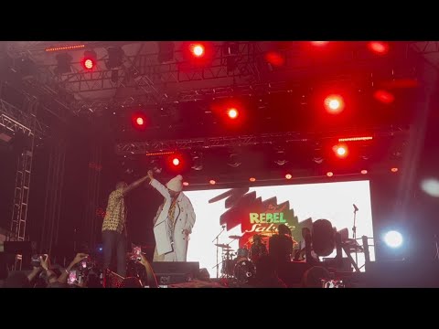 Three Time Champion Dynamq Slaughtered By Foundation Sound Clash Rebel Salute 2025