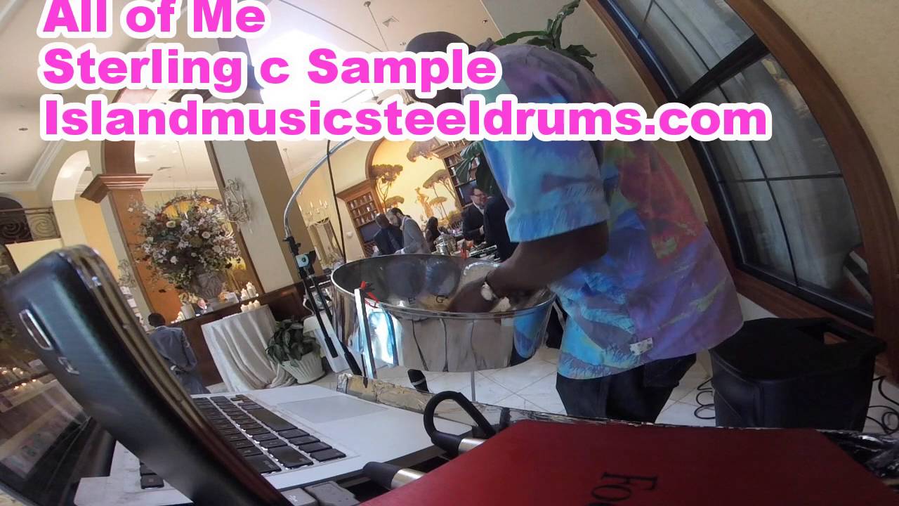 Hire Island Music Steel Drums LLC Steel Drum Player in Willingboro