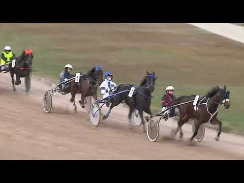 2022.11.26. 11. futam - 2022. ÉVI KINCSEM PARK KUPA XI. FUTAMA HENDIKEP