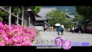 「皐月」『おやさと百景』(84)