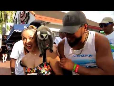 Carnaval Calle 8 2018