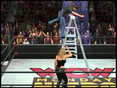 WCW Women's Championship Wrestling Roy Collinsworth The Owne