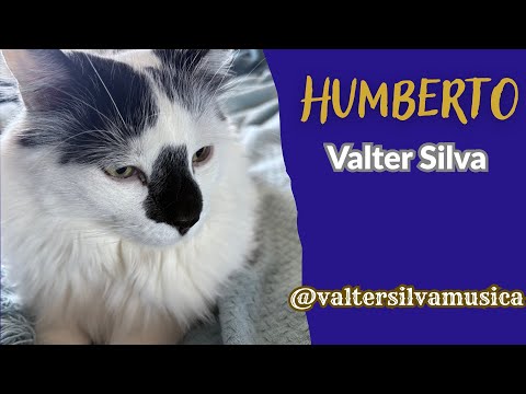 Valter Silva -  Humberto