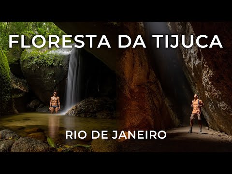 Tijuca Forest in Rio de Janeiro | You can't miss it!