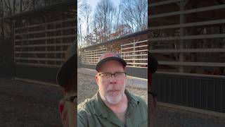 Bought a 20 Thousand Dollar Illegal Tree Stand