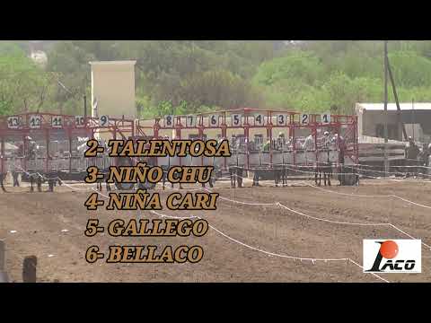 TALENTOSA HIPODROMO DON SOHAR CRUZ DEL EJE 9 10 2022