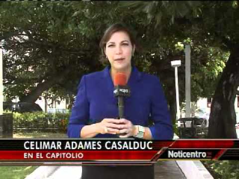 Se defiende Rosa Carrasquillo