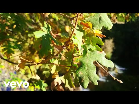 RelaxTuneFlow - Smile inside River Flow | Handpan & Beyond | Relaxation