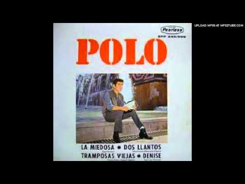 Polo De Los Apson Denise