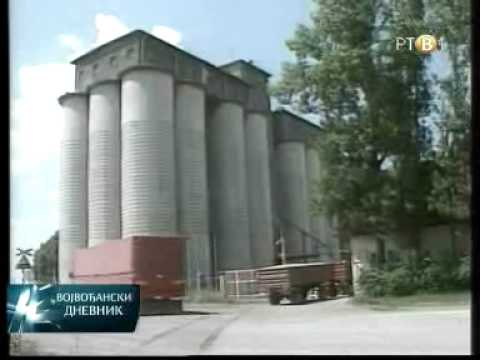 Postrna setva u Banatu u punom jeku