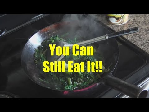 download lagu mp3 mp4 Substitute For Spinach In Cooking, download lagu Substitute For Spinach In Cooking gratis, unduh video klip Substitute For Spinach In Cooking