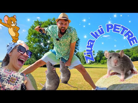 Șoricei in Chiloței - Ziua Lui PETRE 🐀🥳