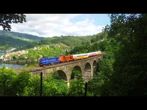 Comboio Especial n.º 92207 - Porto Manso
