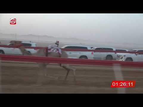  ش 4 (شاهين) لـ سيف سعيد بن غفينه النعيمي 2:06 ، شارة الصندوق 2026/05/30 فطامين الروضة