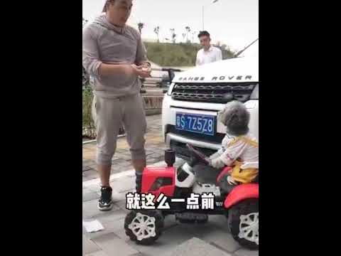 A cute and understanding dog 🥰🥰#Dogs #CuteDogs #LoveDog #SmartDogs