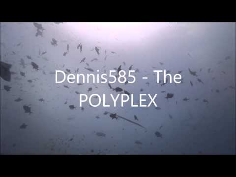 Dennis585 - The POLYPLEX