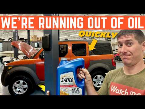 WE'RE RUNNING OUT OF OIL FOR CARS (SHELVES ARE EMPTY)