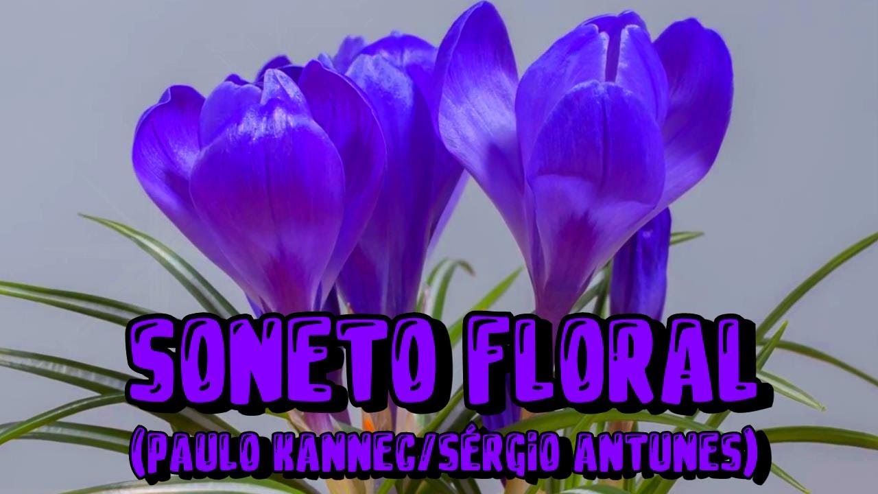 SONETO FLORAL (Paulo Kannec/Sérgio Antunes)