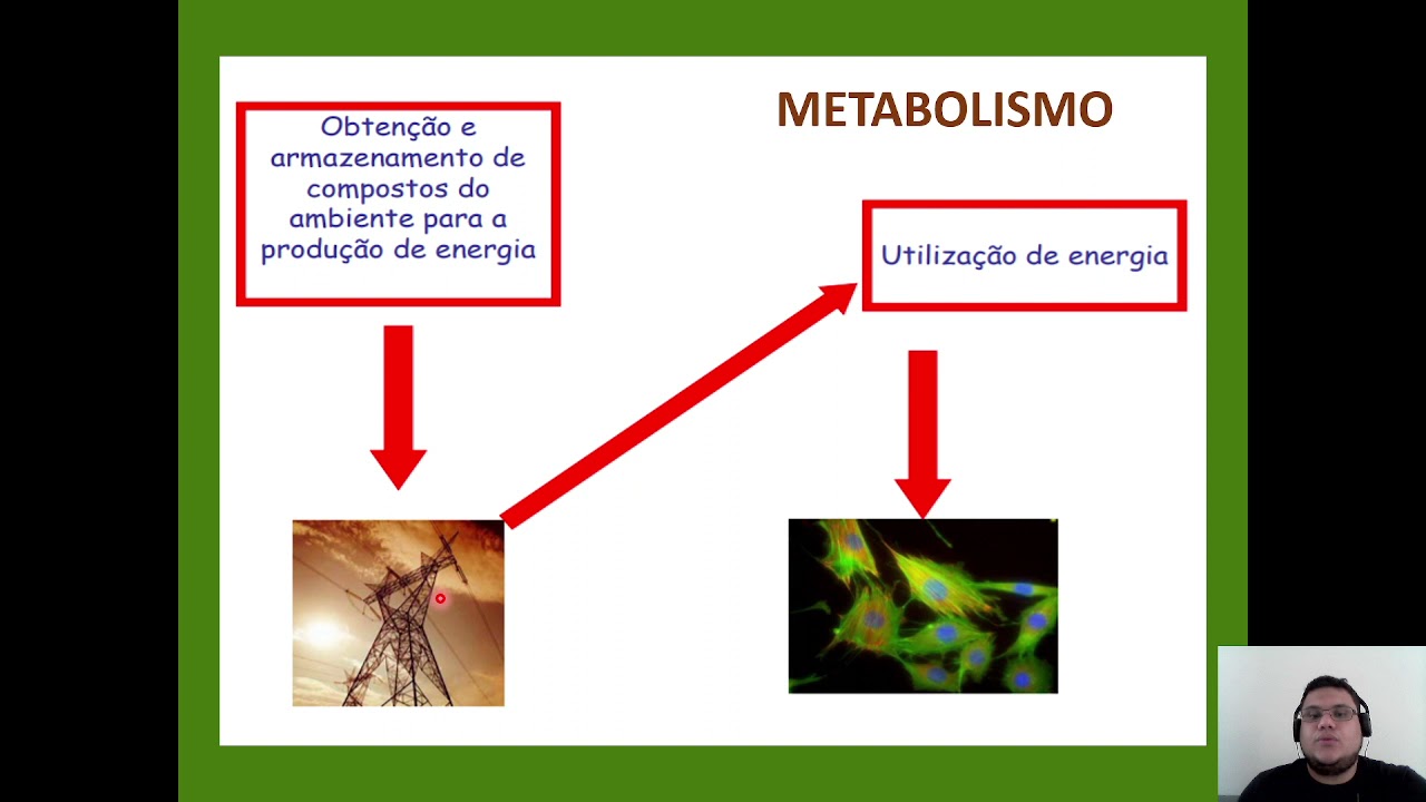 Aula   Introdução ao Metabolismo