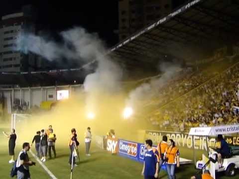 "TIGRE X AVAI EXTINTOR 21 08 2012 7" Barra: Os Tigres &bull; Club: Criciúma