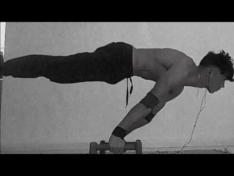 INCREDIBLE full planche progression 🔥🔥(6 months transformation)