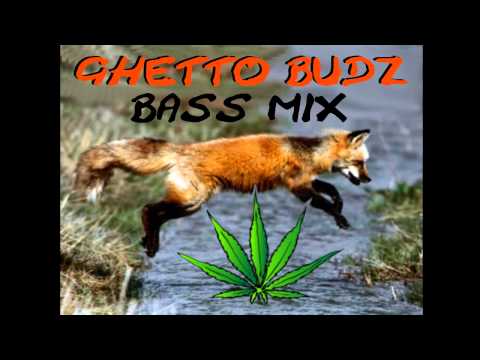 DJ Alex R - Ghetto Budz Party Mix (Ghetto Funk, Breaks, Wonky House, Jungle, Drum & Bass)