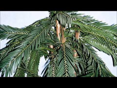 DRIP-133 - I LIKE LOW [FT. DRK]