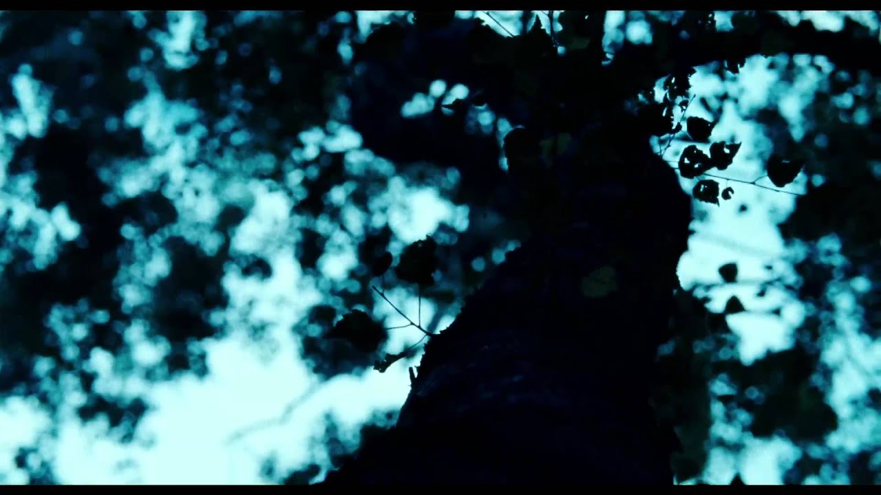 Trailer for Lore