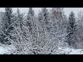 Snowfall In Oslo ️