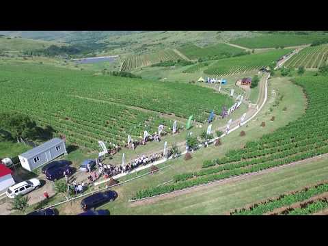 Agro Fest - Dealu Mare, Prahova