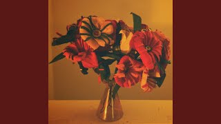 Cover art for See Me Thru