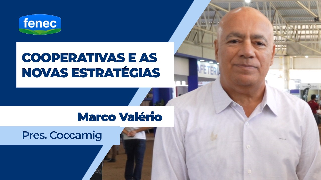 Cooperativas passam por transformação, investem no processamento de produtos e criação de marcas pró