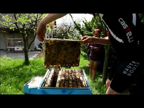 Maska do włosów Natura siberica sauna spa i wzmacniać reakcje wzrostowe Po farbowania henny spadku