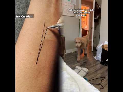 They always know #dogs #dogtok(1)