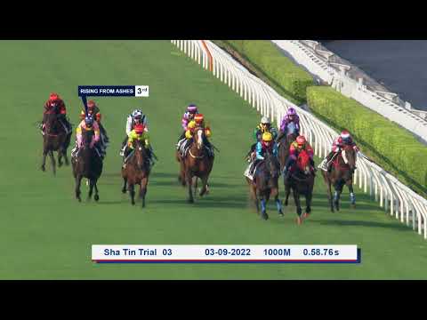 [Racing To Win] 22/23 #04 Happy Valley –R7 (21 September)