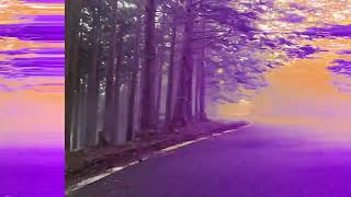 日本のオデッセイ2025　Day8 　和歌山ー龍神　10/10